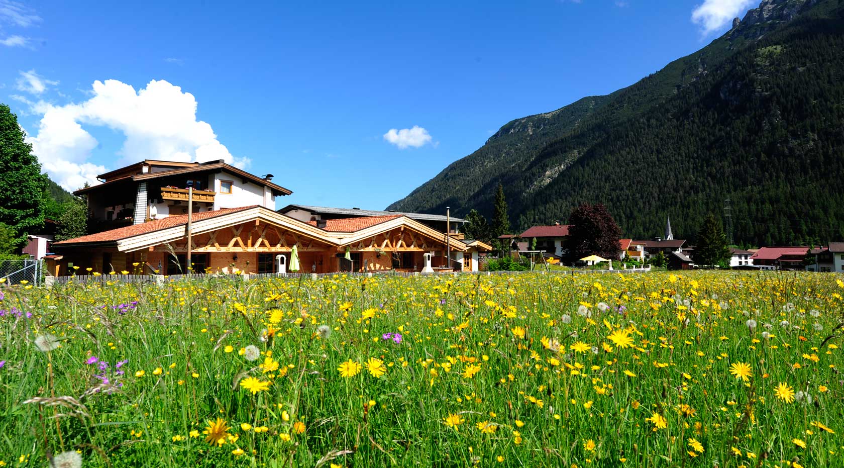 Die Chalets Wiesenruh umgeben von grüner Wiese.